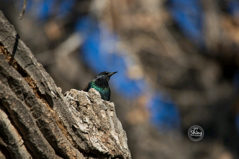 Image uploaded by Jonathan