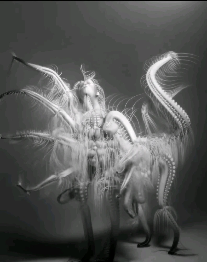 Image uploaded by Hans Alexander
