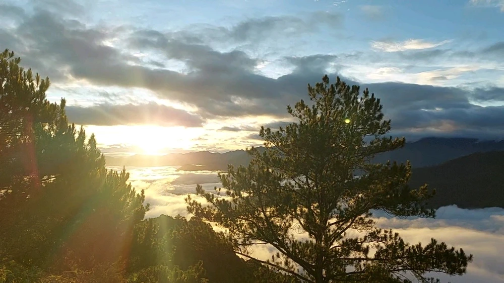 Image uploaded by Sah