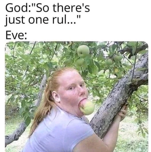 Image uploaded by Tofu