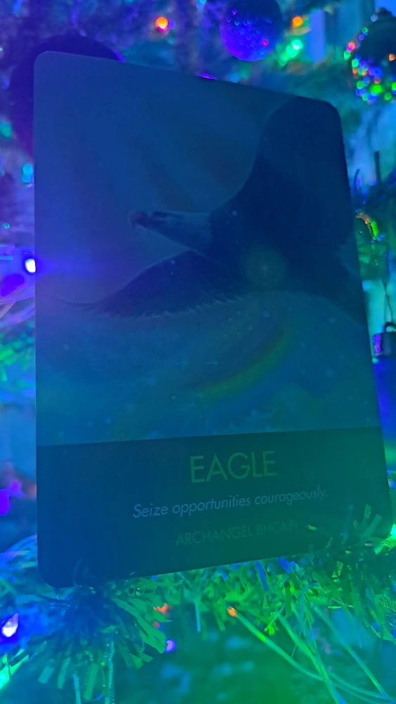 Image uploaded by Ryn