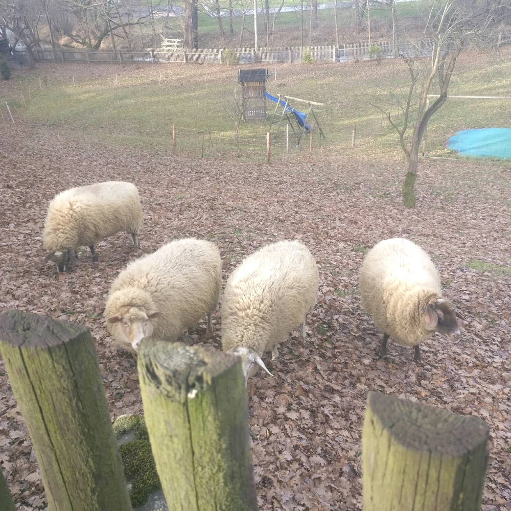 Bild hochgeladen von Nico