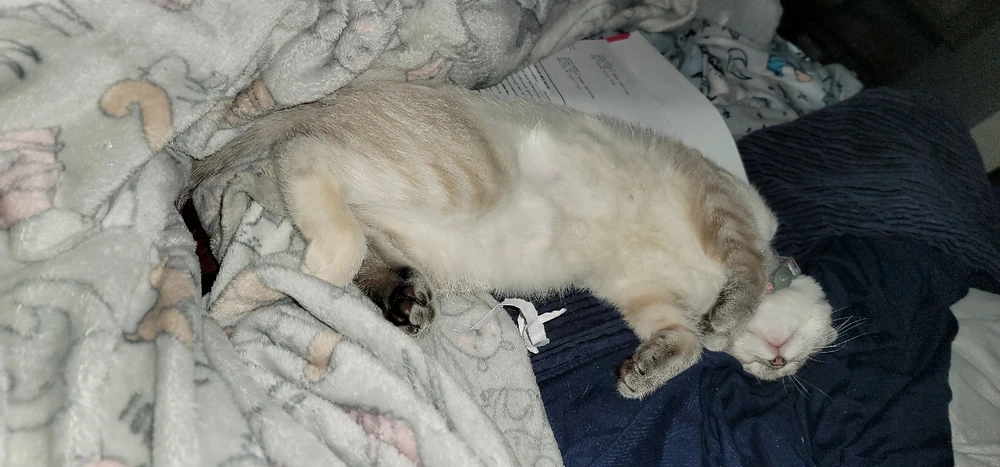 Image uploaded by Gwen