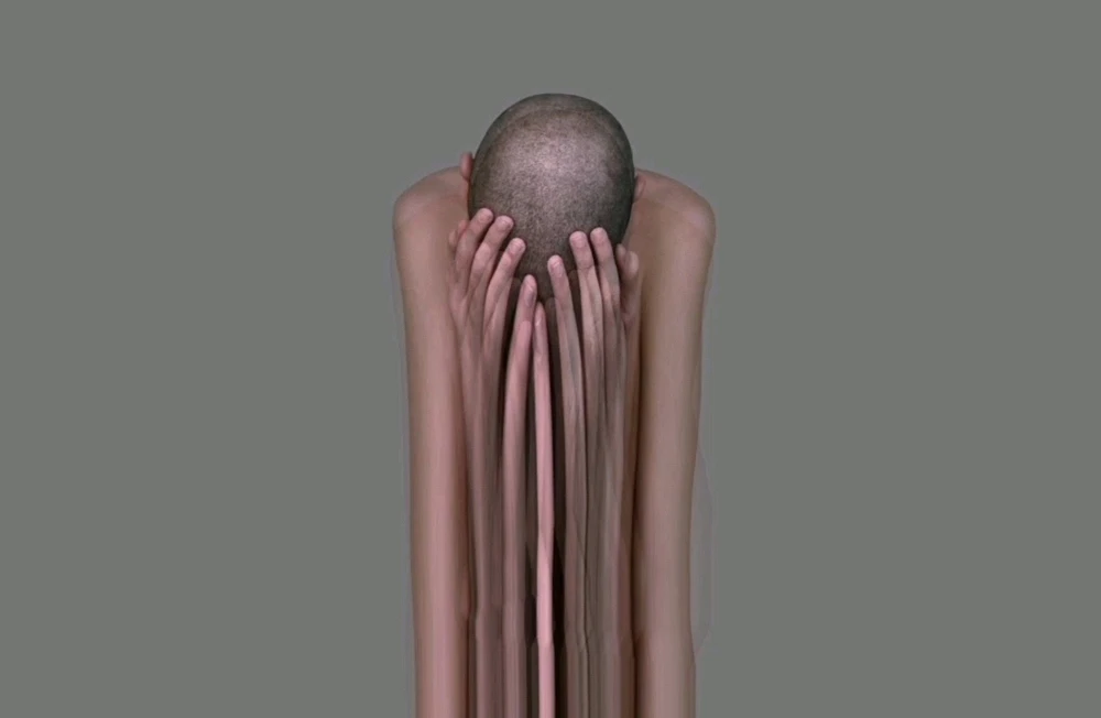 Image uploaded by Hans Alexander