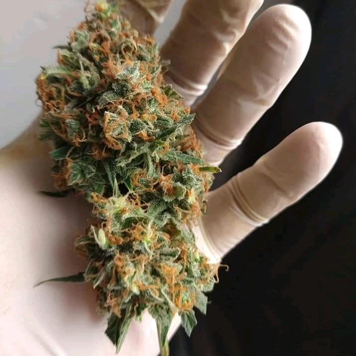 Imagen subida por Antonio