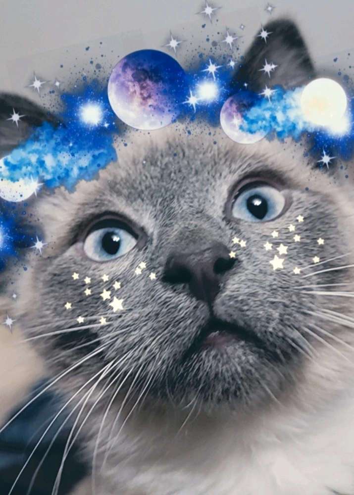 Image uploaded by Elara Ellewood