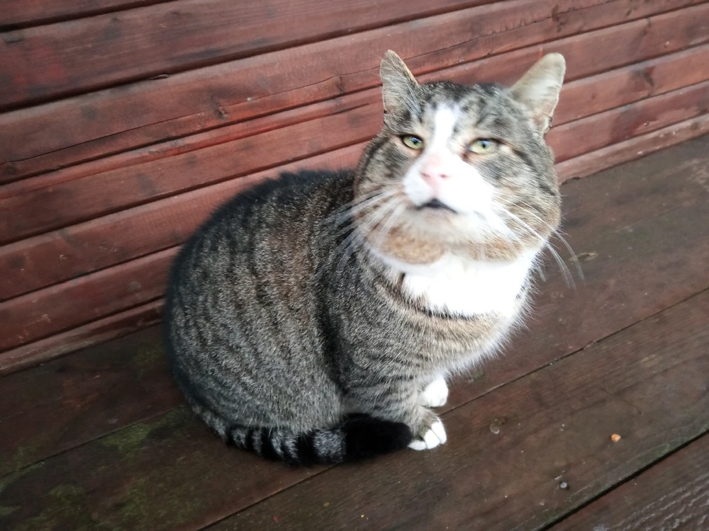 Image uploaded by Daren 🌈