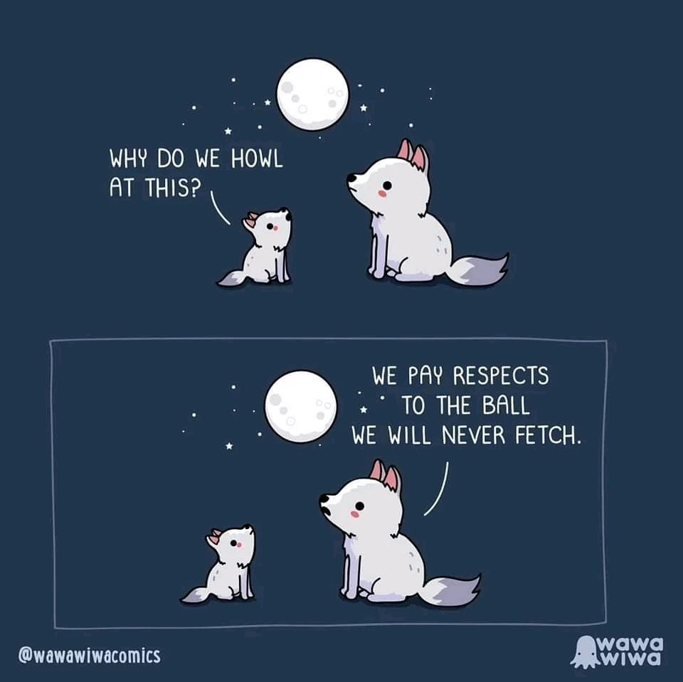 Image uploaded by Alice