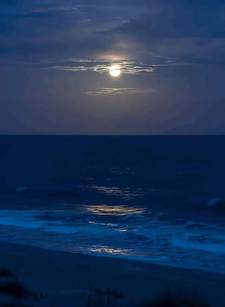 Image uploaded by kheigh