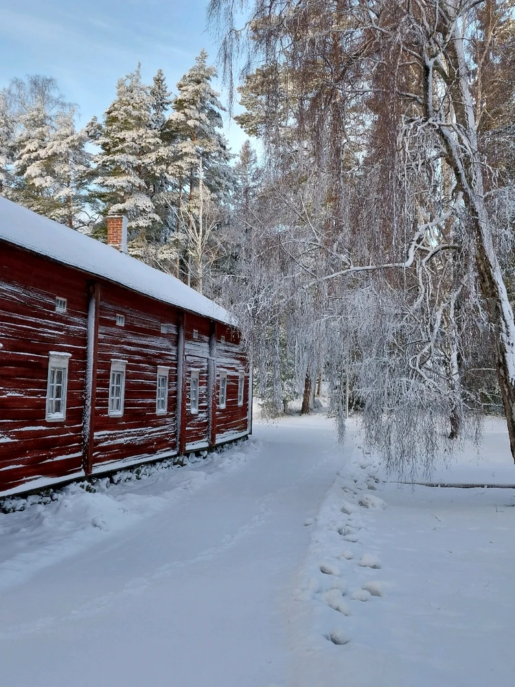 Lovely snow day❄️❄️