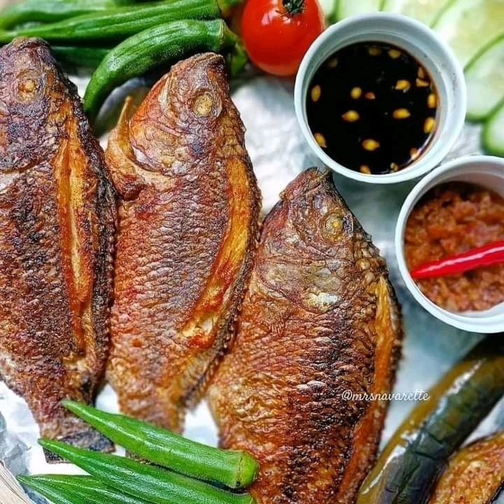 由Tisay上传的图片
