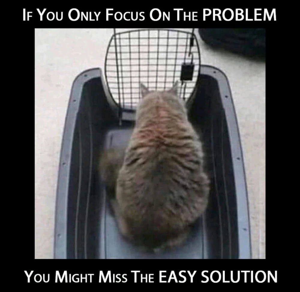 Image uploaded by Evergon