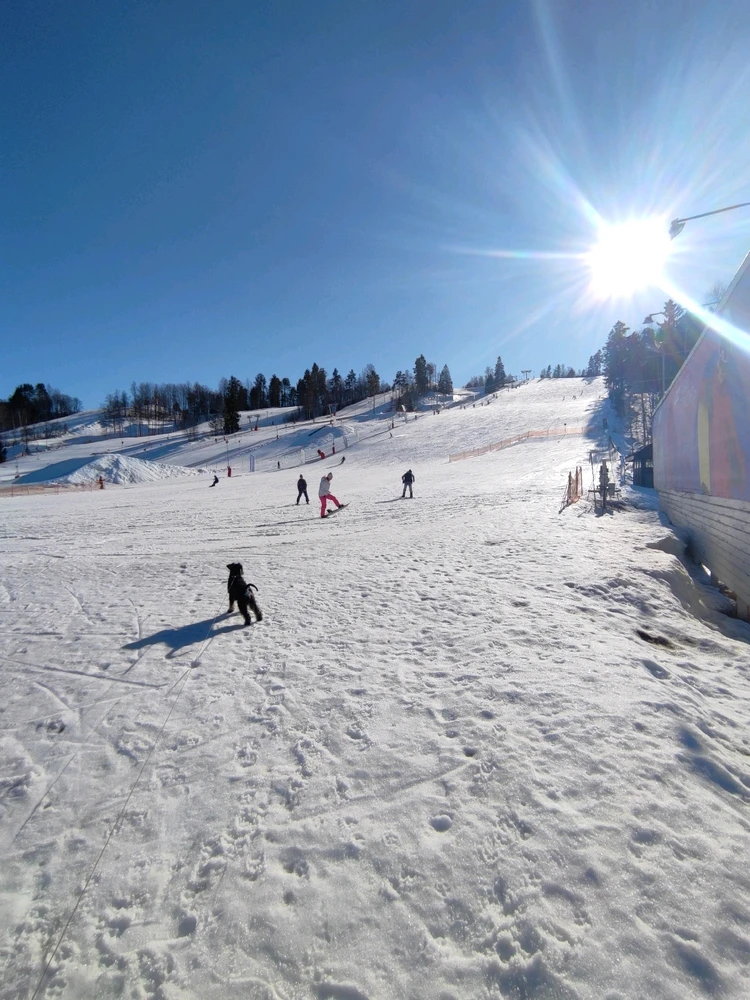 Фото загрузил Лиза