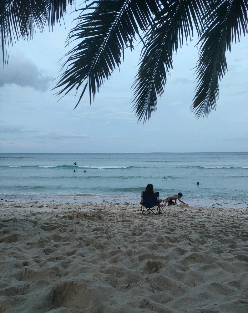 Image uploaded by Dar