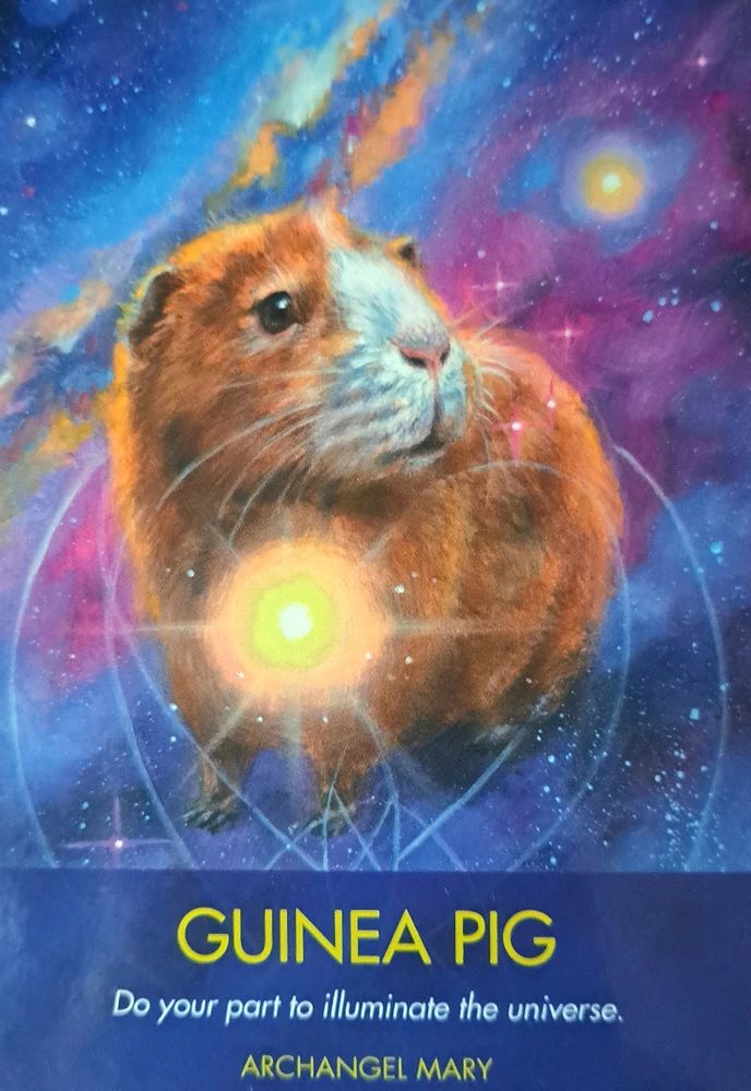 Image uploaded by Ryn