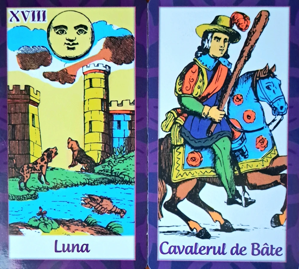 Image uploaded by Ryn