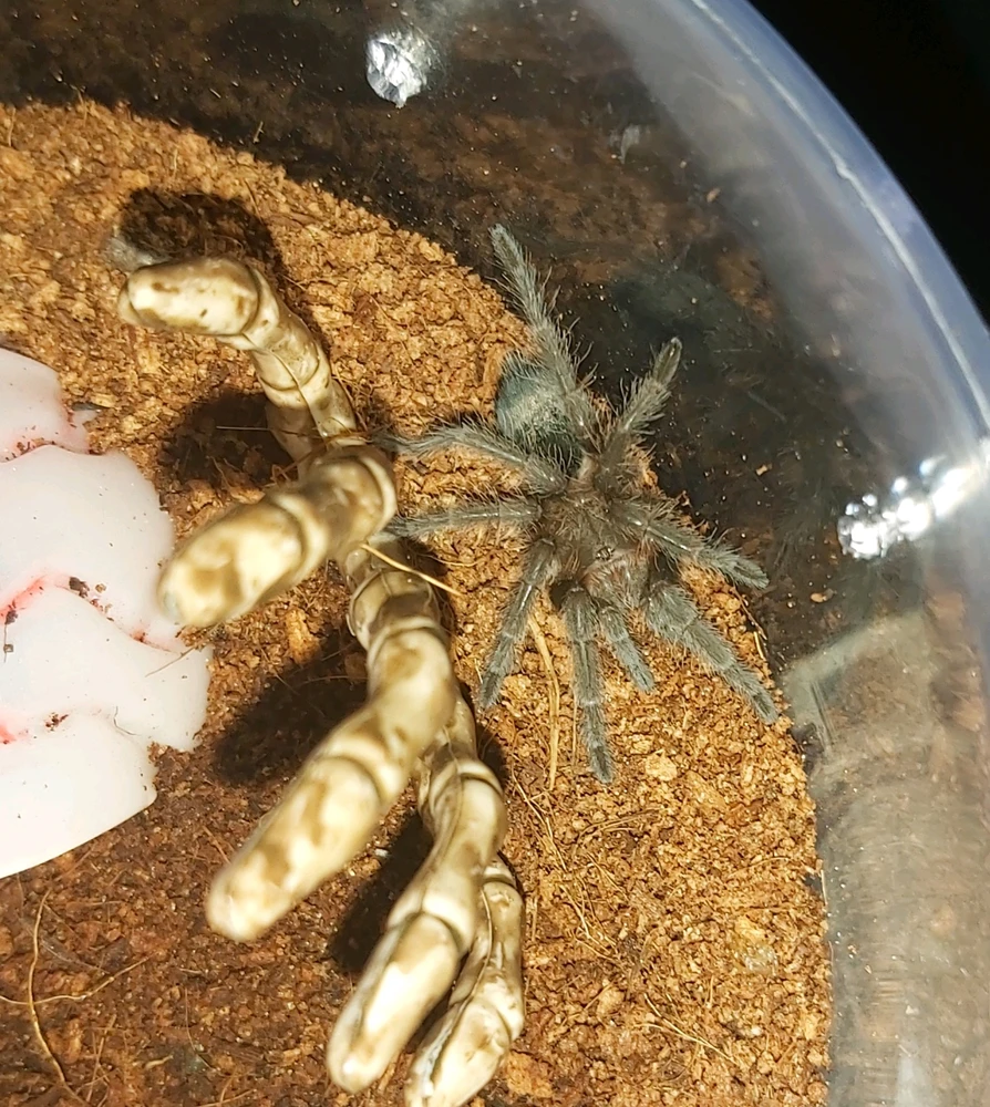 Image uploaded by Kathleen