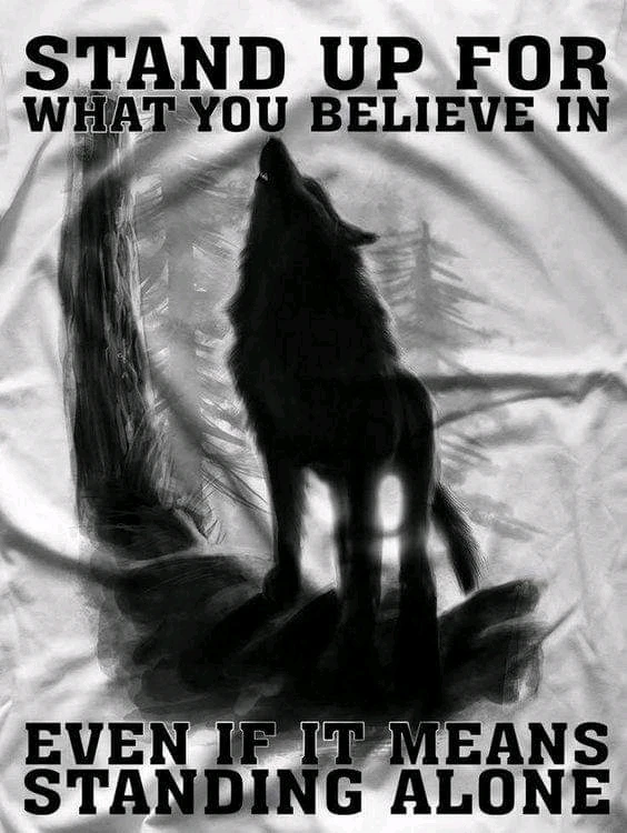 Image uploaded by Danny