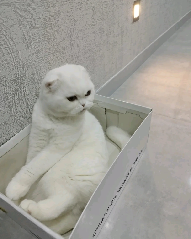 Mehmet tərəfindən yüklənən şəkil