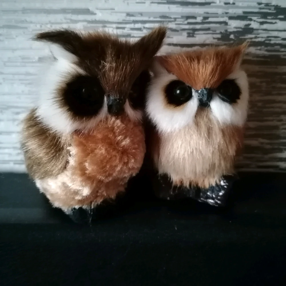 Bild hochgeladen von Sven