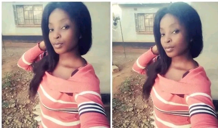 Image uploaded by Traci๐