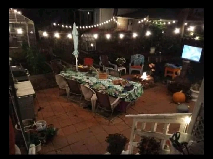 Image uploaded by ❌🎀Femme Feline🎀❌