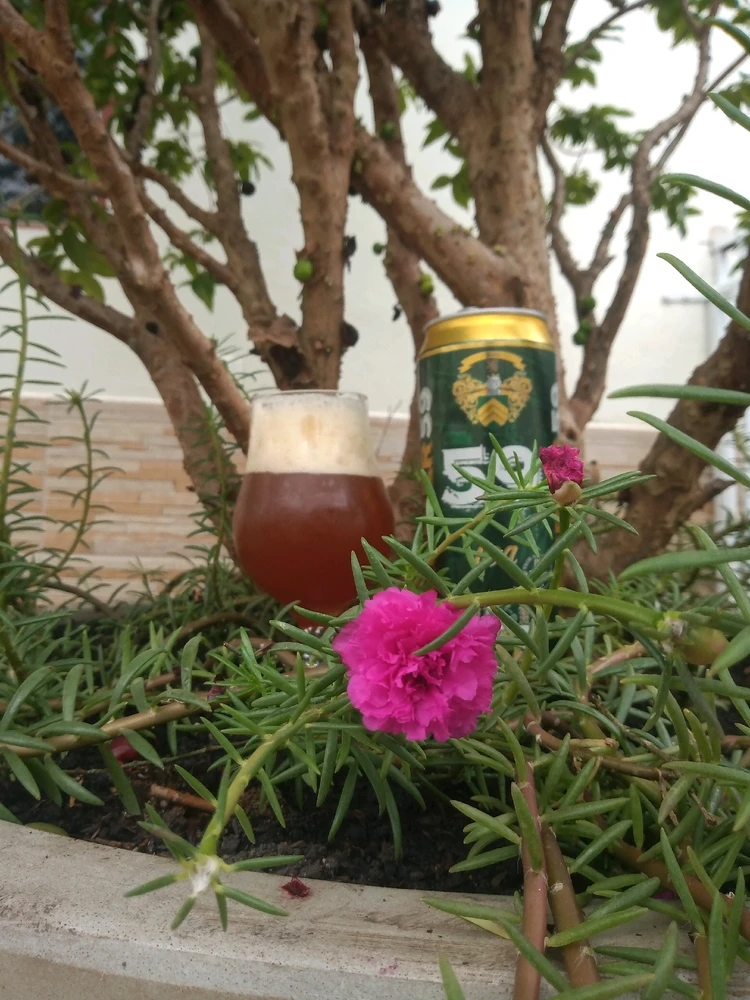 Imagem enviada por Renato Luis Santos