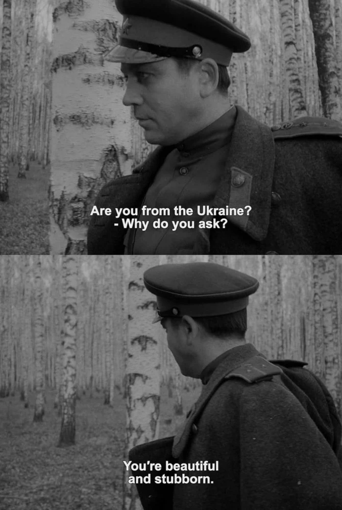 Image uploaded by Jihas