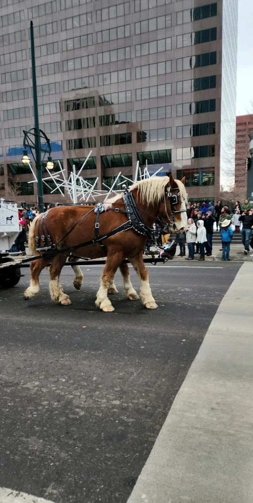 Image uploaded by Lesly