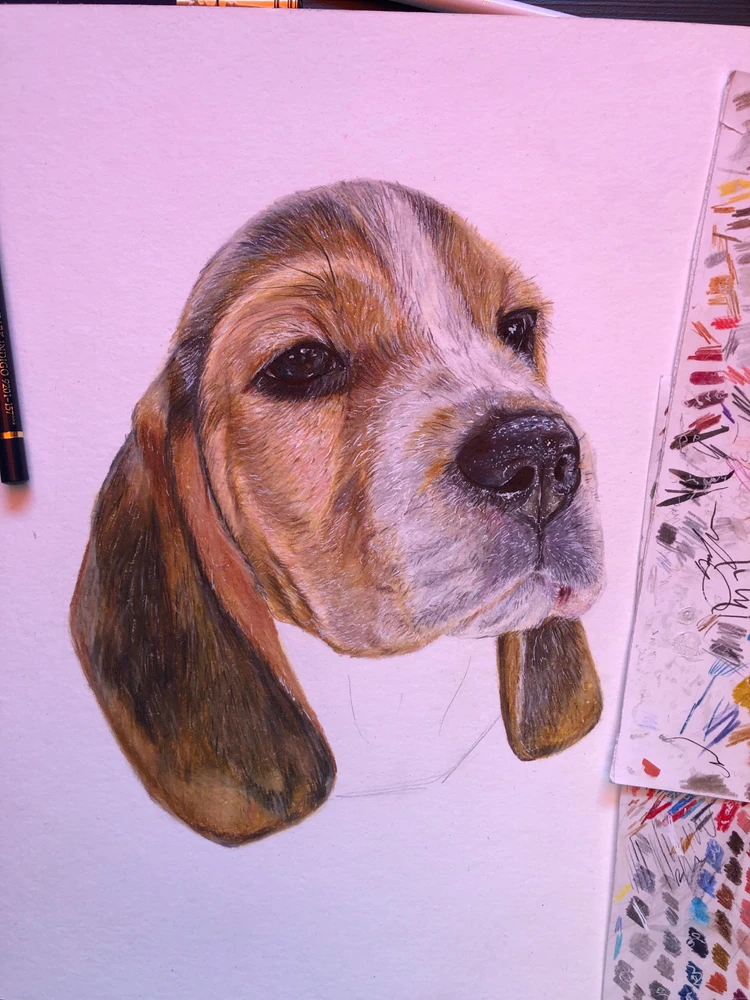 Image uploaded by Una