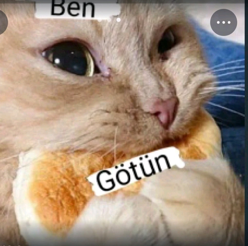 Mavişş tarafından yüklenen görsel