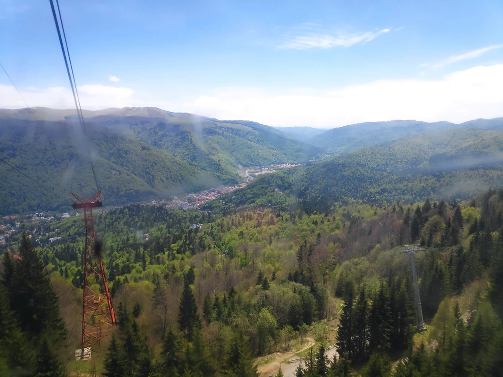Image uploaded by Roy