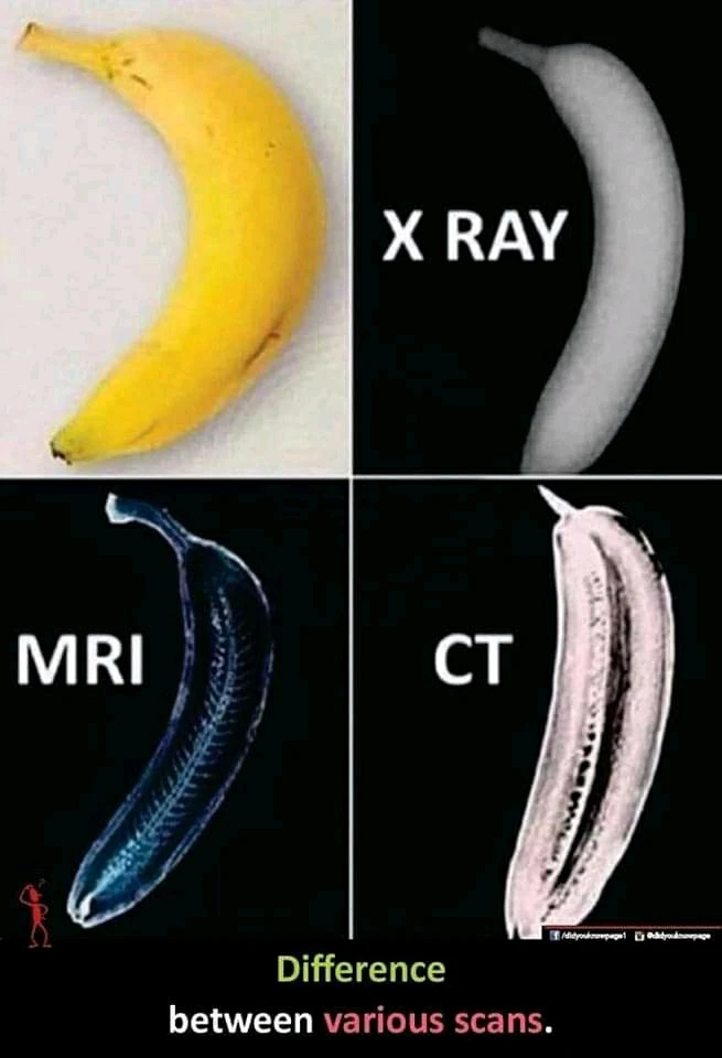 Image uploaded by Rey