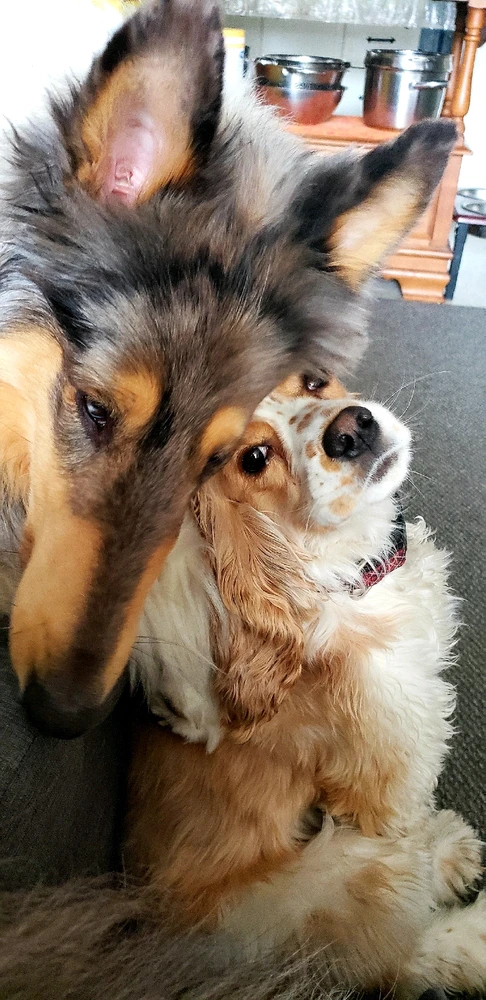 Image uploaded by Yaara