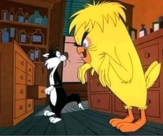 Caricaturas que alegaban mi infancia