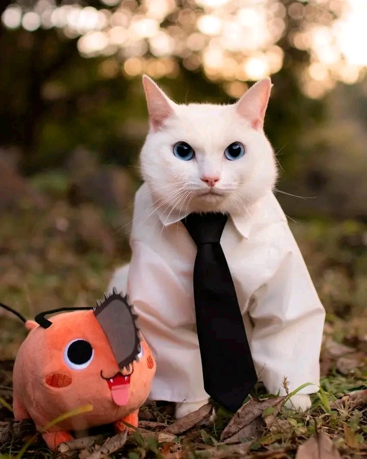 Aria님이 올린 사진