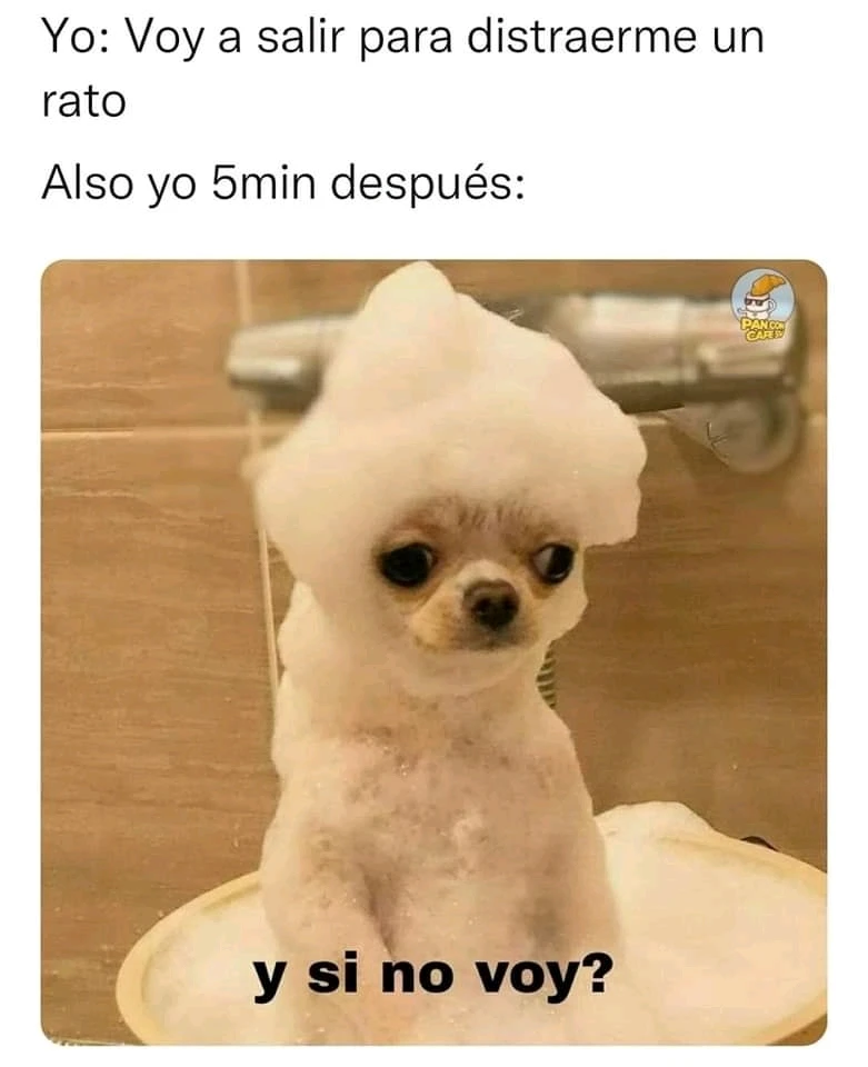 A los introvertidos nos suele pasar