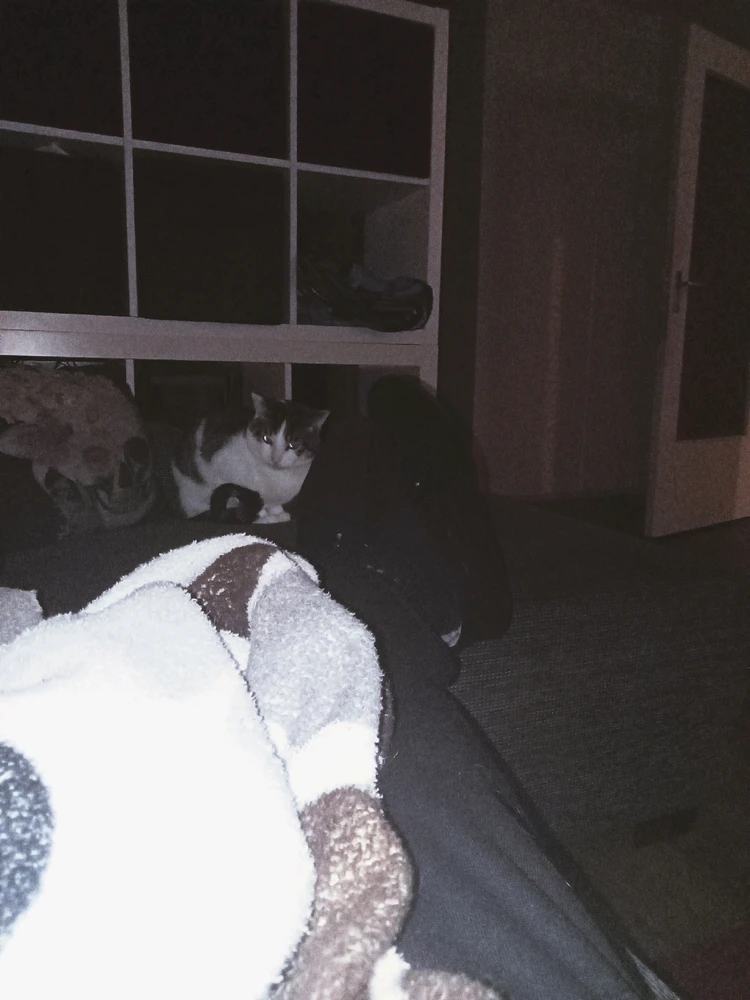 Image uploaded by remy