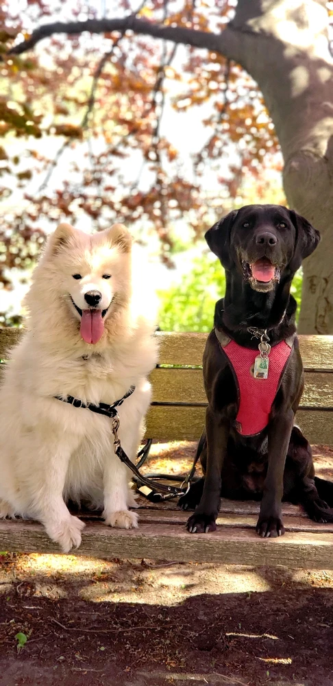 Image uploaded by Yaara