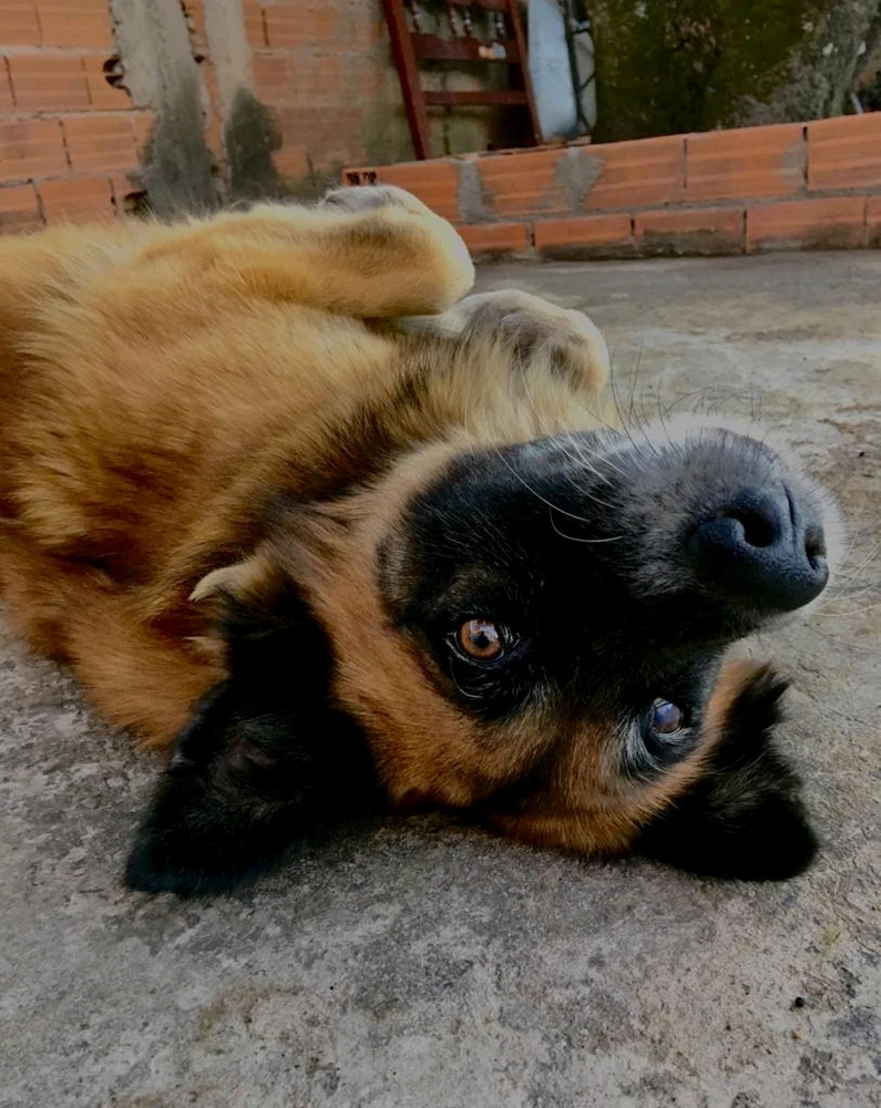 Imagem enviada por João