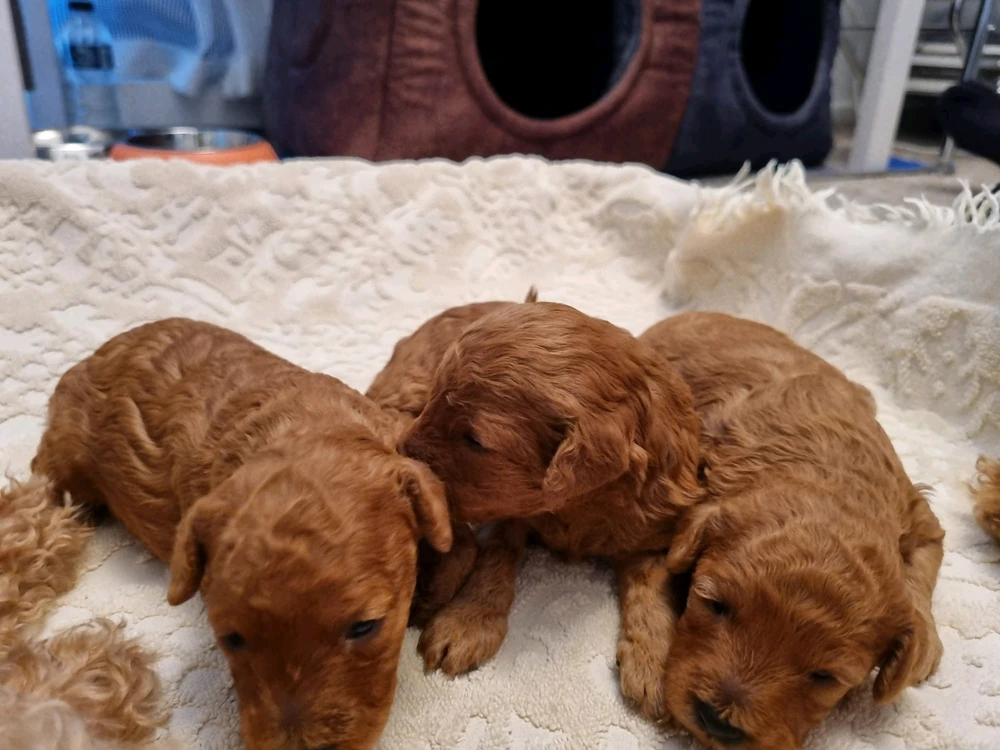 I-upload ni Juls ang larawan