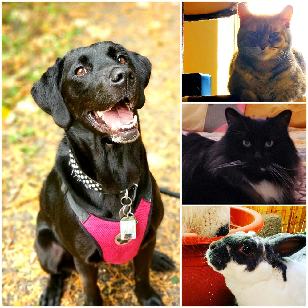 Image uploaded by Yaara