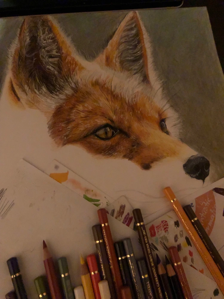 Image uploaded by Una