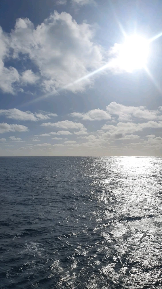 Image uploaded by Sebastian