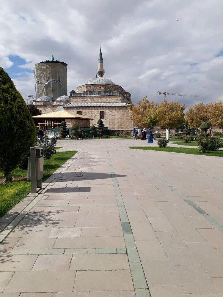 Image uploaded by Lily