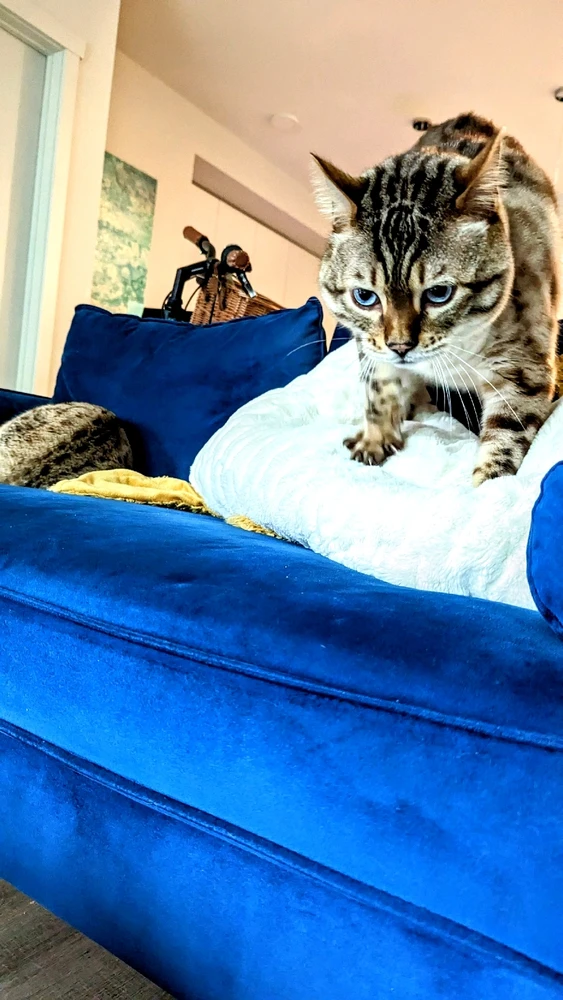 Image uploaded by Heaven Marie