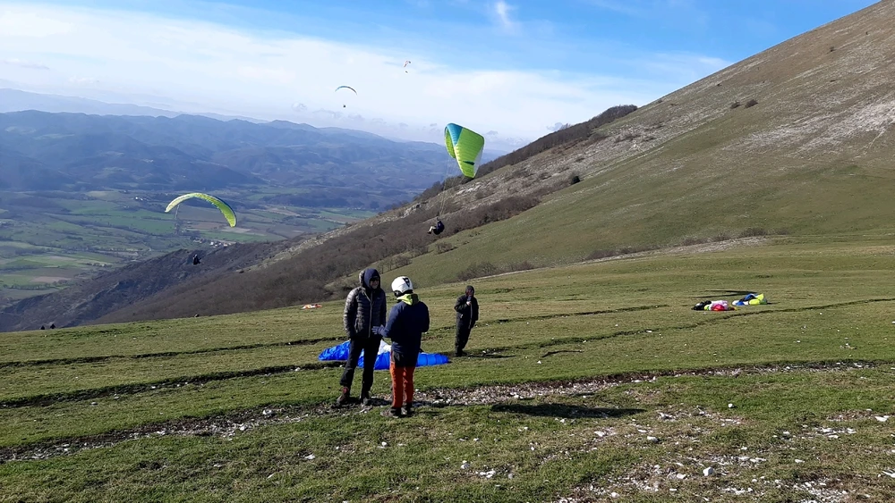 Image uploaded by Alessandro