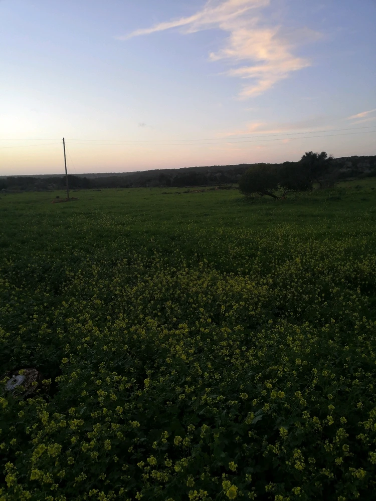 Image uploaded by Helios
