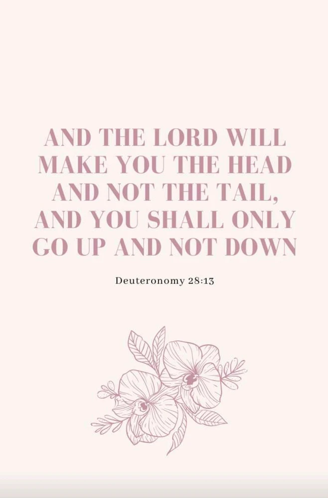 Image uploaded by Small