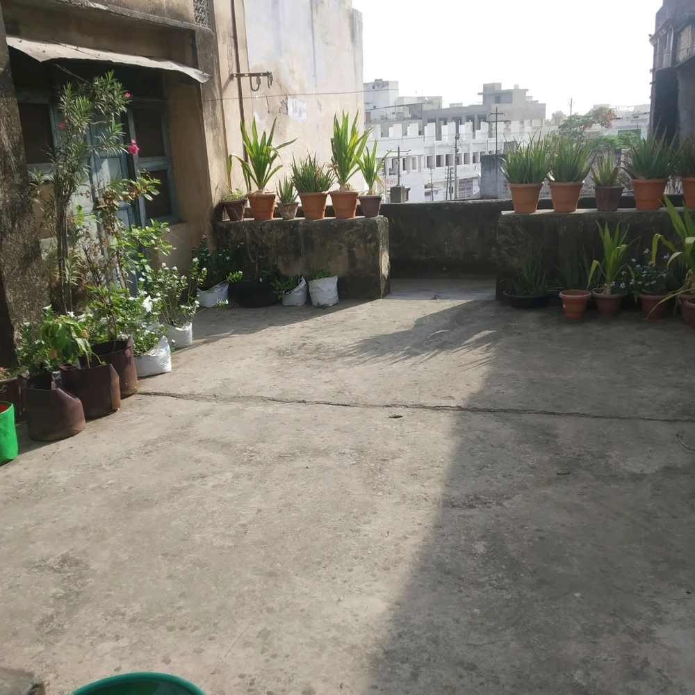 Gi-upload ni Jaagruthi Sharma ang hulagway